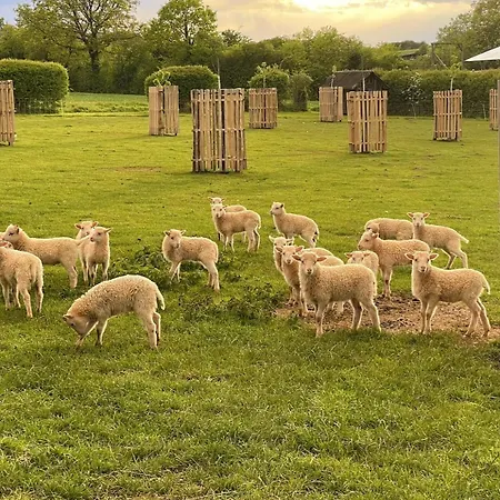 Ferienhaus Sternehäuschen Bei Den Heidschnucken!