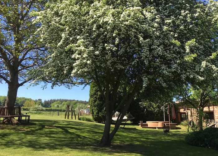 Sternehuette Bei Den Heidschnucken! * 梅谢尼希