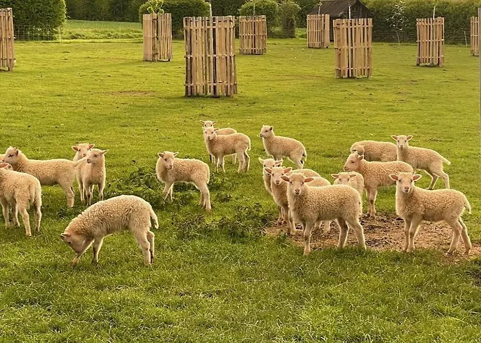 בית נופש Sternehuette Bei Den Heidschnucken!